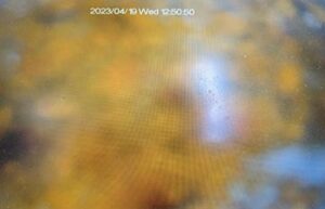 Under water belly in line