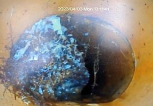 Significant root intrusion