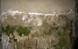 Basement Water issues